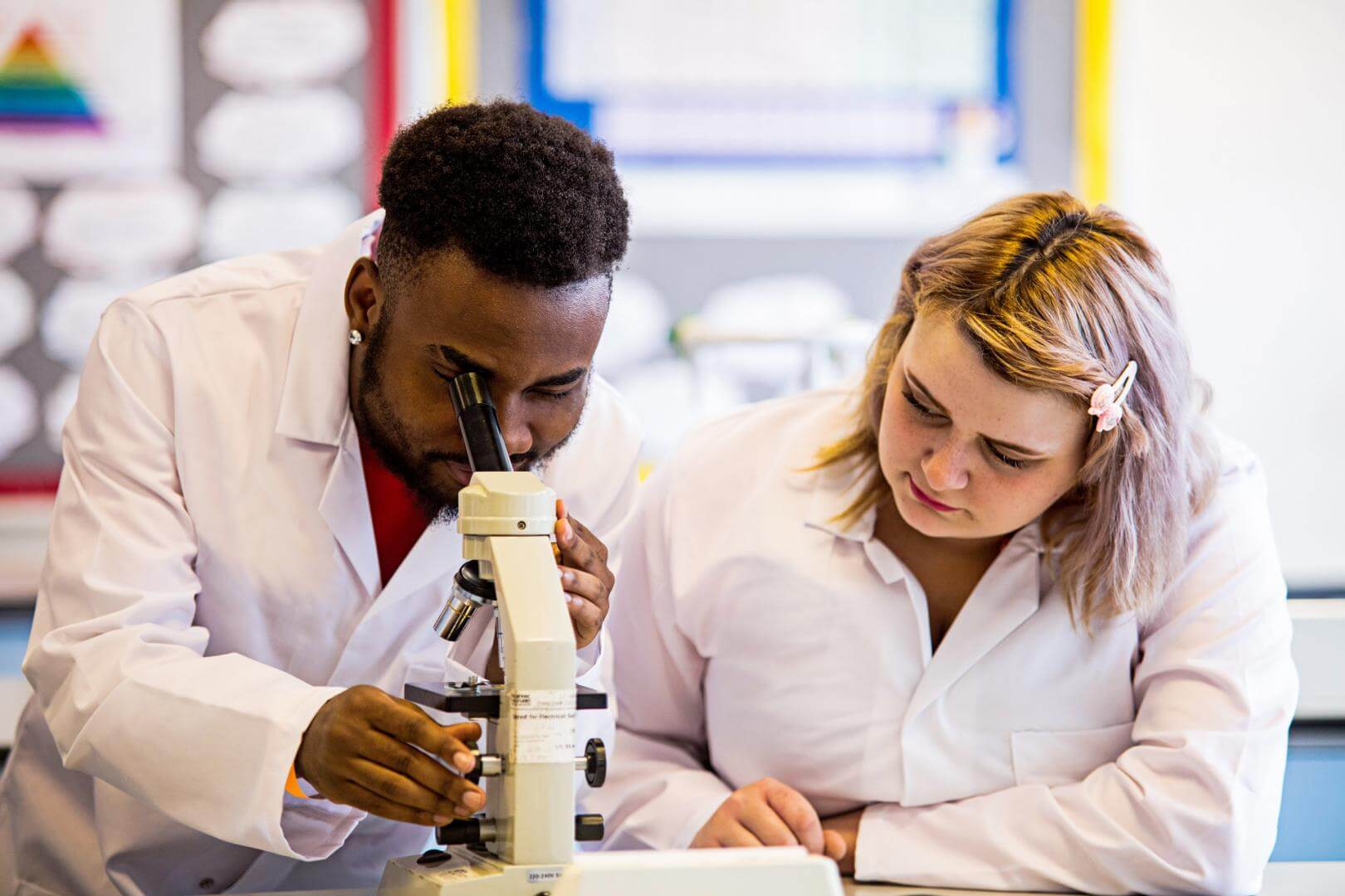 Two science students using a microscope and doing research