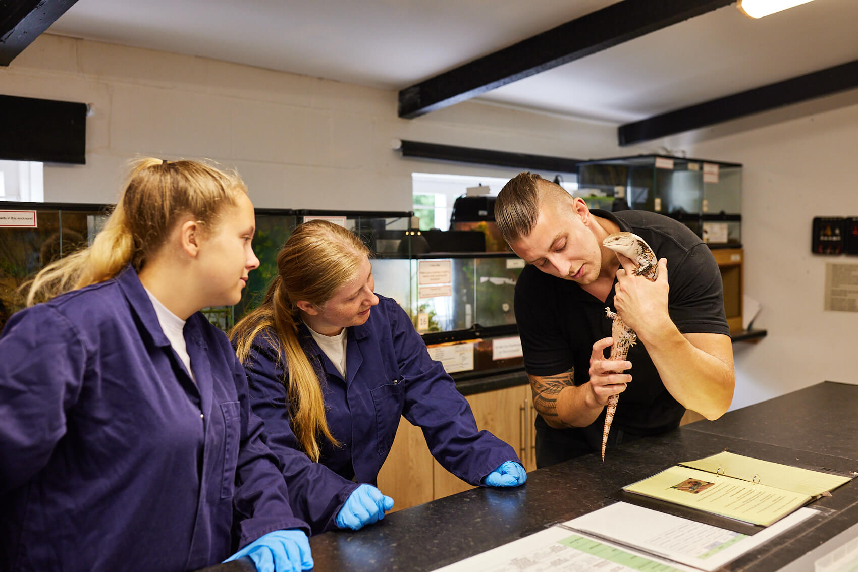 Tutor showing students how to do a lizard health check