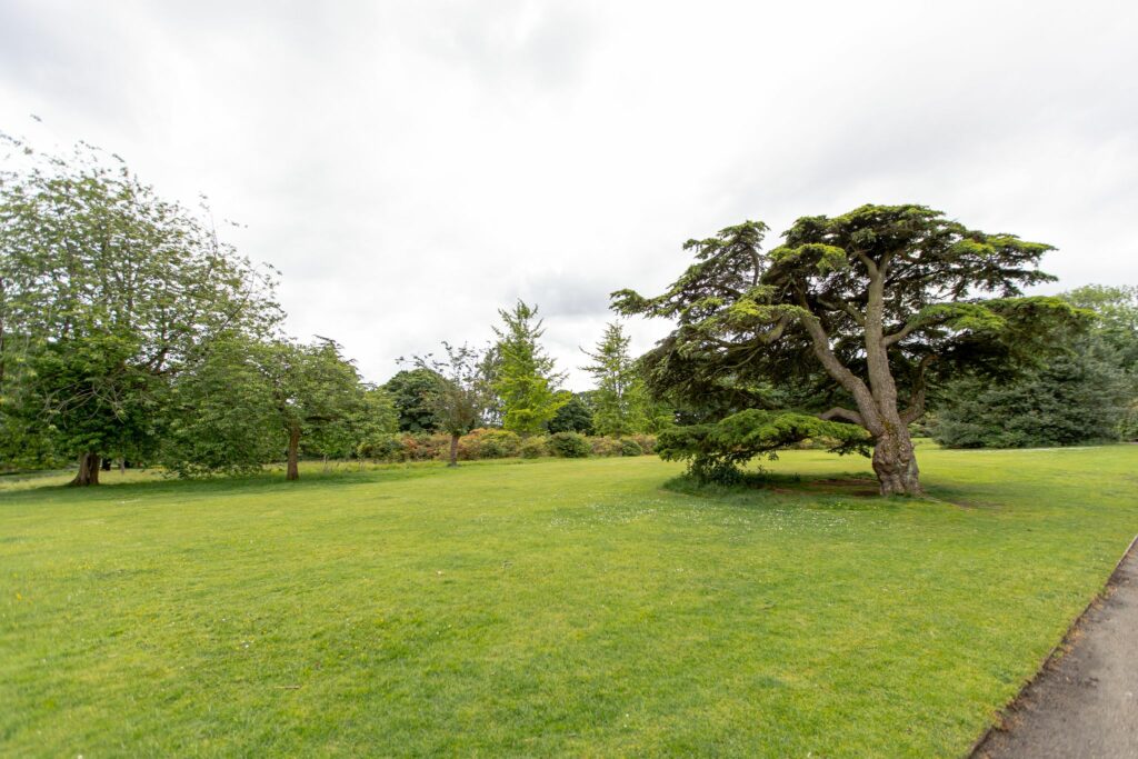 Temple Newsam grounds with trees and shrubbery