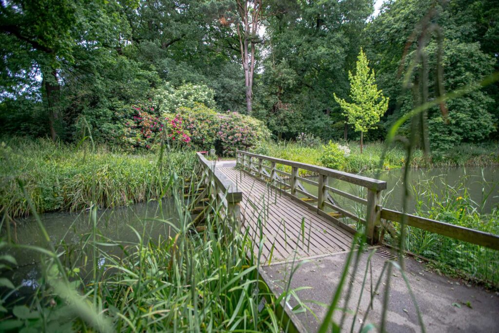 The river and a bridge crossing at temple newsam