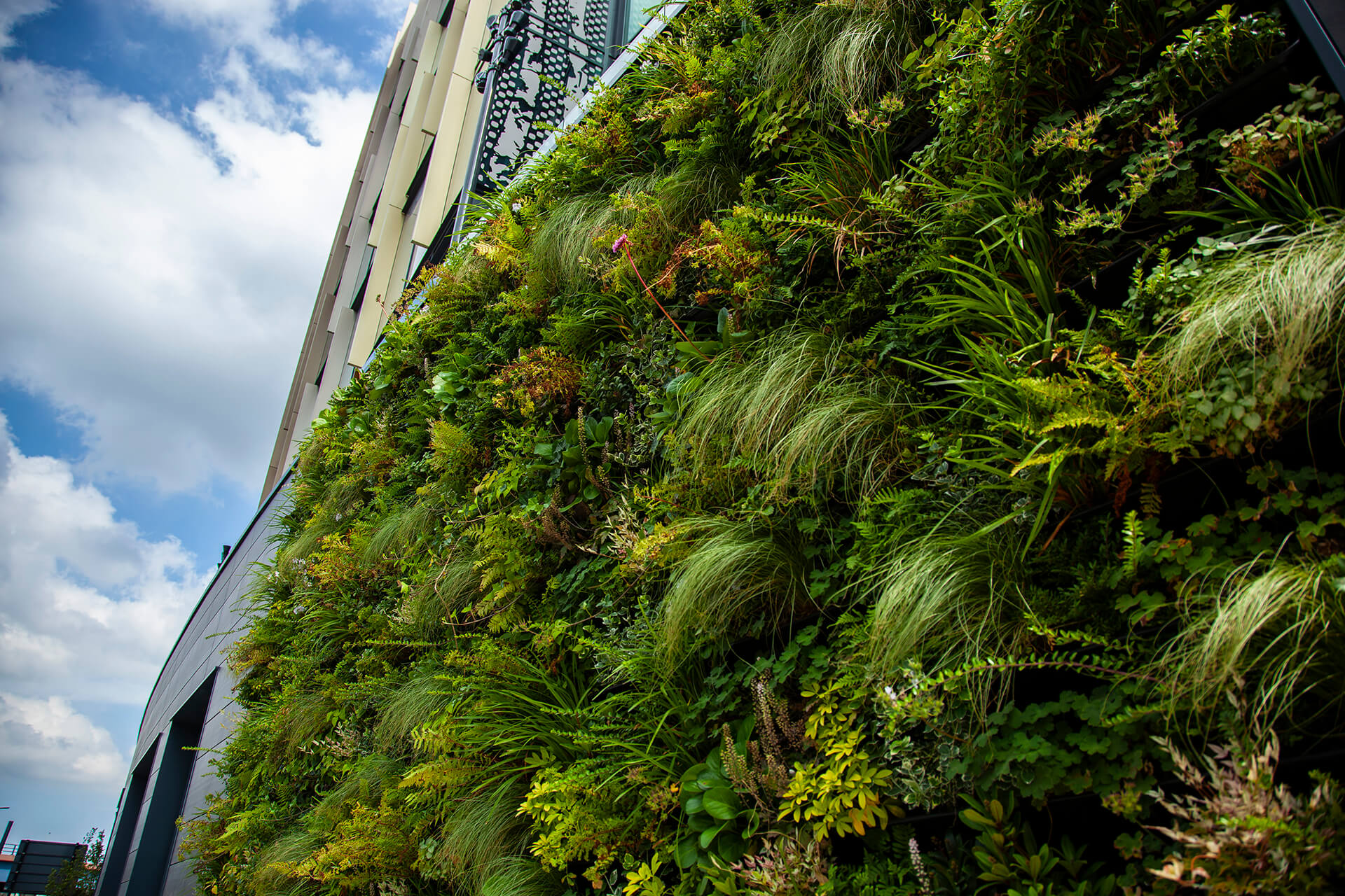 A shot of the Quarry Hill Campus building with plants at the ground floor