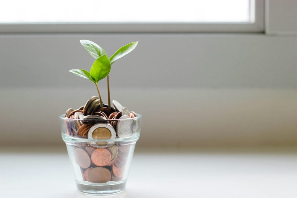 A healthy money plant in a transparent glass vase, elegantly positioned on a simple white background.